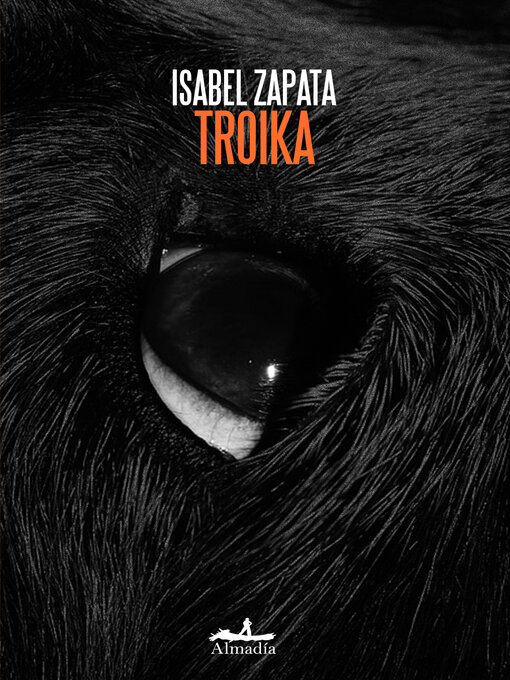 Cover image for Troika